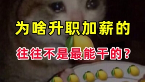 人生不要太用力，不能做奋斗逼​,卷注定没有好下场，职场晋升的顶级智慧！